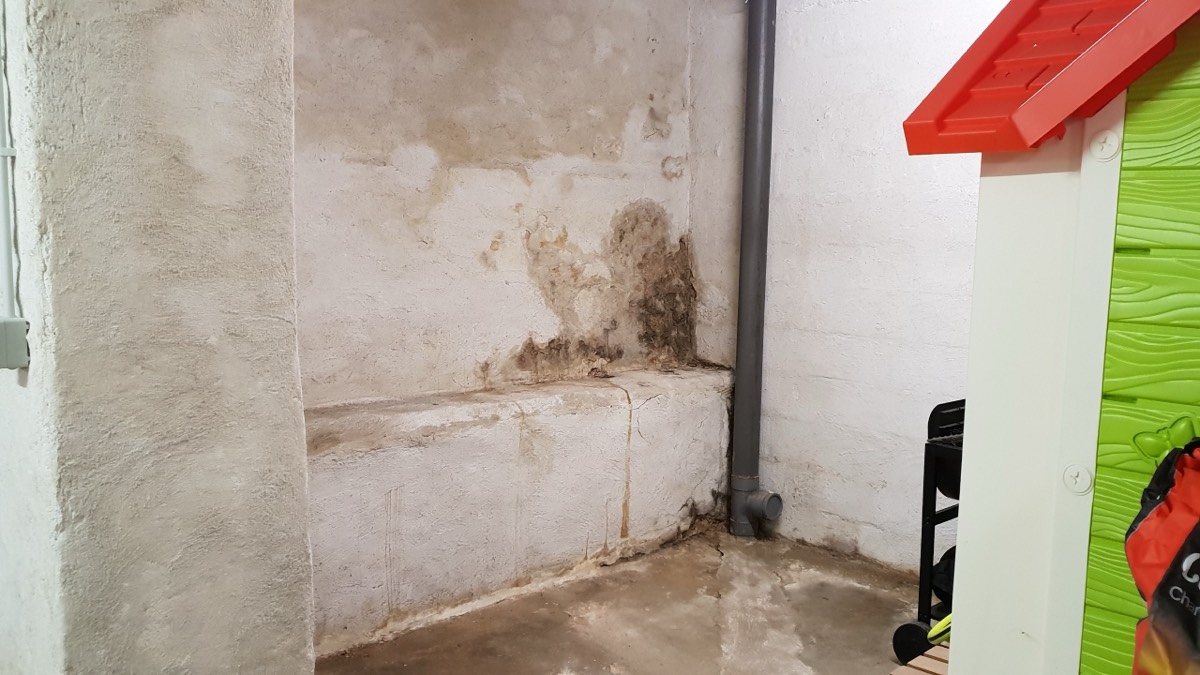Infiltrations d'eau - Expertise humidité à Dole